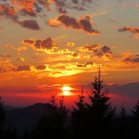 ホームステイ Gaestehaus Wasserburger Kernhof