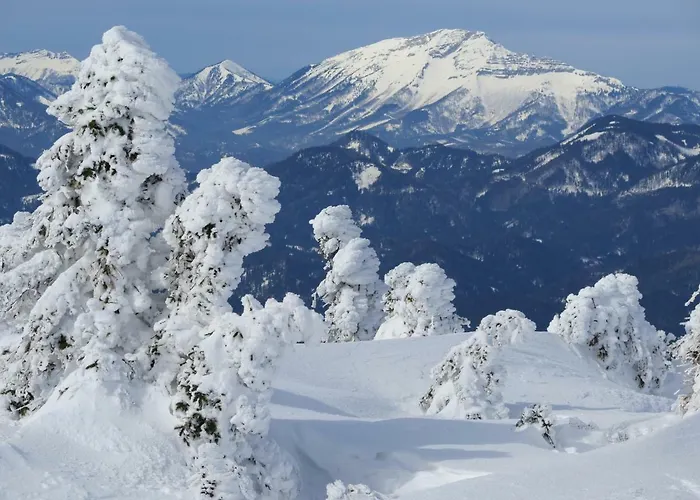 Gaestehaus Wasserburger Ubytování v soukromí *