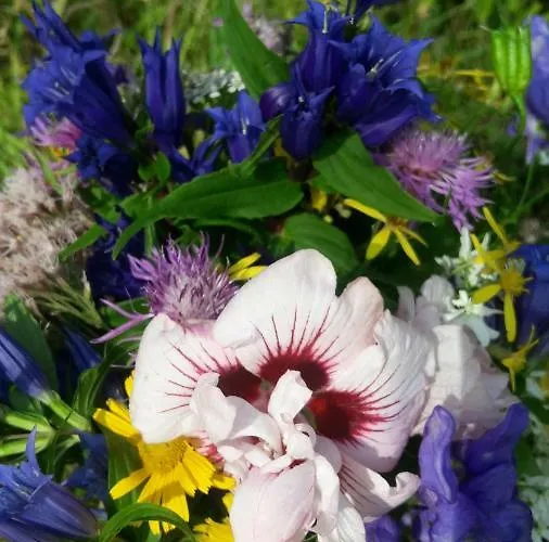 Gaestehaus Wasserburger